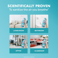 Lysol Aerosol Air Sanitizer - Beachside Waves - 10oz