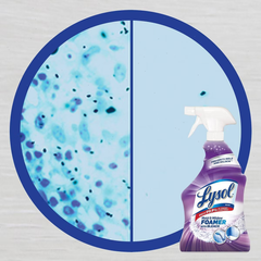 Lysol Unscented Mold & Mildew Remover with Bleach Bathroom Cleaning Spray - 32 fl oz