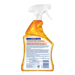 Lysol Day Mango & Hibiscus Liquid All Purpose Cleaner - 32 fl oz