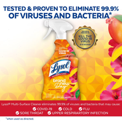 Lysol Day Mango & Hibiscus Liquid All Purpose Cleaner - 32 fl oz