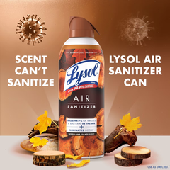 Lysol Aerosol Air Sanitizer - Woodland Escape - 10oz