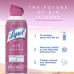 Lysol Sunkissed Petals Air Sanitizer Spray - 10oz