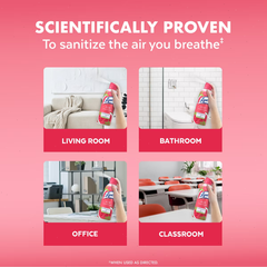 Lysol Watermelon Air Sanitizer - 10oz