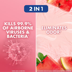 Lysol Watermelon Air Sanitizer - 10oz