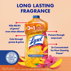 Lysol Mango Concentrated Multi Surface Cleaner - 48 fl oz