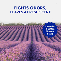 Lysol Lavender Liquid Toilet Bowl Cleaner - 48 fl oz/2ct